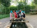 IMG_1178.jpeg