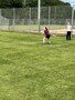 thumbnail_IMG_5858.jpg