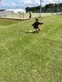 thumbnail_IMG_5863.jpg