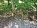 IMG_3219.JPG