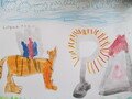 IMG_9554.JPG
