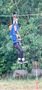 e90dd848-6559-440c-a600-6c8f44e1c3c3.jpeg