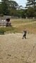 64a8548f-b492-4b37-89a7-023b4bf2d389.jpeg