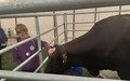 20250605_131000.jpg