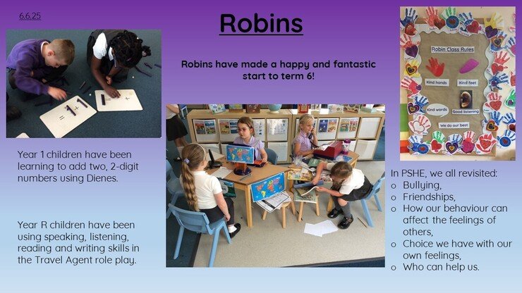 Robins 6.6.25 2.jpg