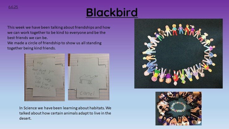 Blackbirds 6.6.25 1.jpg