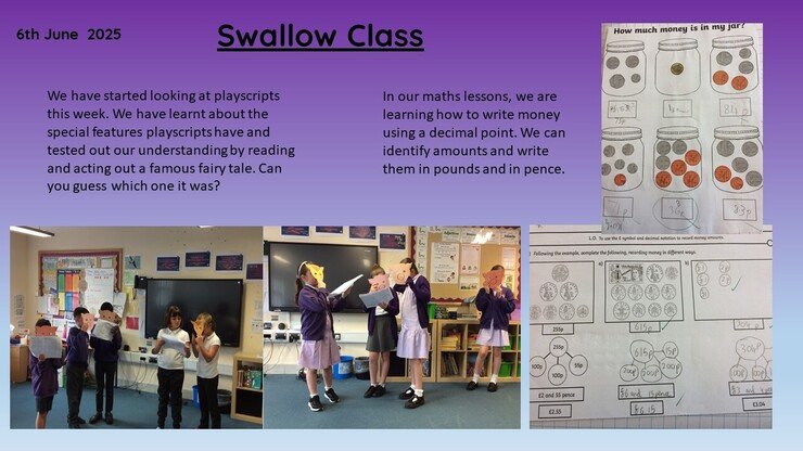 Swallow 6.6.25 1.jpg