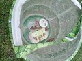20250609_143310.jpg