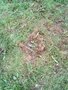 20250610_110058.jpg