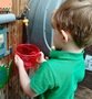 BUT, BUGS & GROW MAY 25 (17).jpg