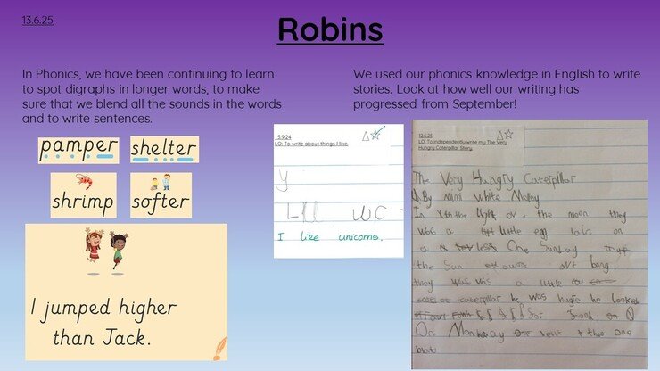 Robins 13.6.25 1.jpg