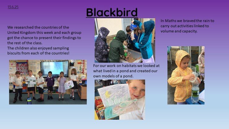 Blackbirds 13.6.25 1.jpg