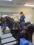 20250613_105257.jpg