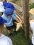 IMG_9391.JPG