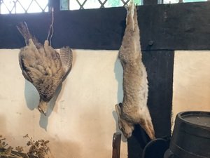 IMG_6733.jpeg