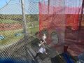 High Ropes (3).JPG
