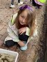 IMG_5347.JPG
