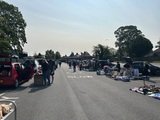 IMG_7962.jpeg