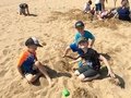 IMG_2016.jpeg