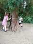 IMG-20250612-WA0000.jpg