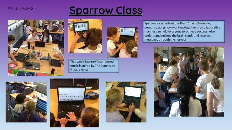 Sparrow 20.06.25 1.jpg