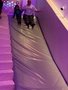 IMG_1595.JPG