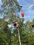 IMG-20250620-WA0054.jpg