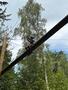 IMG-20250620-WA0058.jpg