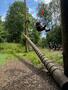 IMG-20250620-WA0062.jpg