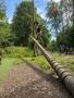 IMG-20250620-WA0063.jpg