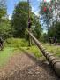 IMG-20250620-WA0064.jpg