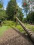 IMG-20250620-WA0065.jpg