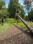 IMG-20250620-WA0066.jpg