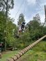 IMG-20250620-WA0077.jpg
