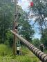 IMG-20250620-WA0097.jpg