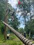 IMG-20250620-WA0098.jpg