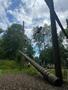 IMG-20250620-WA0099.jpg