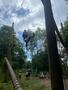 IMG-20250620-WA0101.jpg