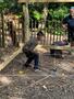 IMG-20250621-WA0014.jpg