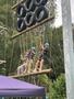 IMG-20250621-WA0208.jpg
