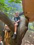 IMG-20250621-WA0212.jpg