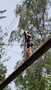 IMG-20250620-WA0118.jpg