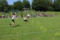 IMG_3382.JPG
