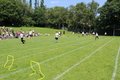 IMG_3390.JPG