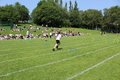 IMG_3398.JPG