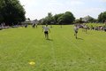 IMG_3445.JPG