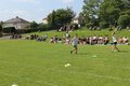 IMG_3450.JPG