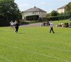 IMG_3453edit.JPG