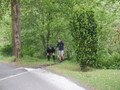 DSCF0249.JPG