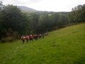 DSCF0239.JPG